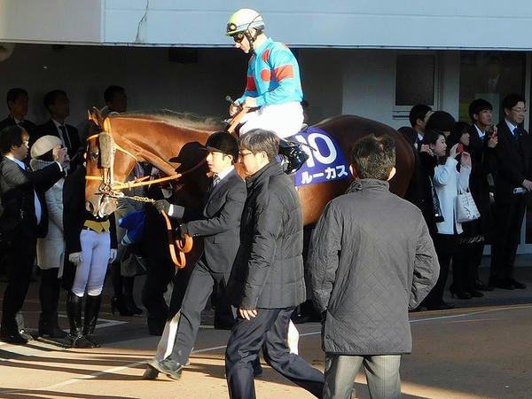 2番人気のルーカス号とM・デムーロ騎手