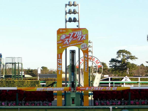 ホープフルステークス仕様のゴール板