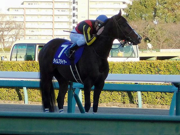 ウイニングラン後に愛馬を称えるC・デムーロ騎手