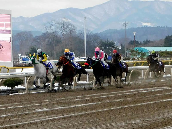 トウケイニセイ記念 1周目のホームストレッチで先手を取る村上忍騎手（馬主服）