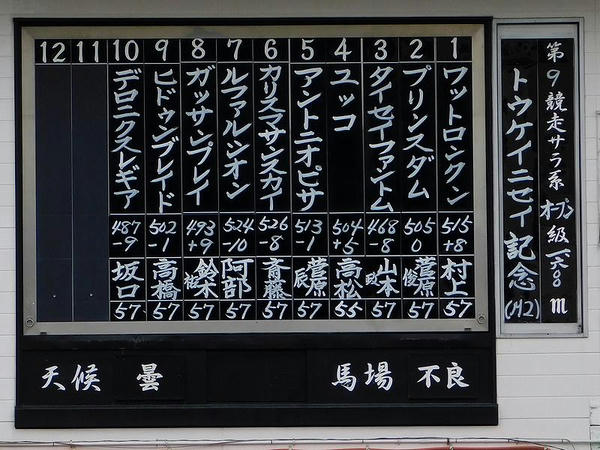 トウケイニセイ記念の出馬表