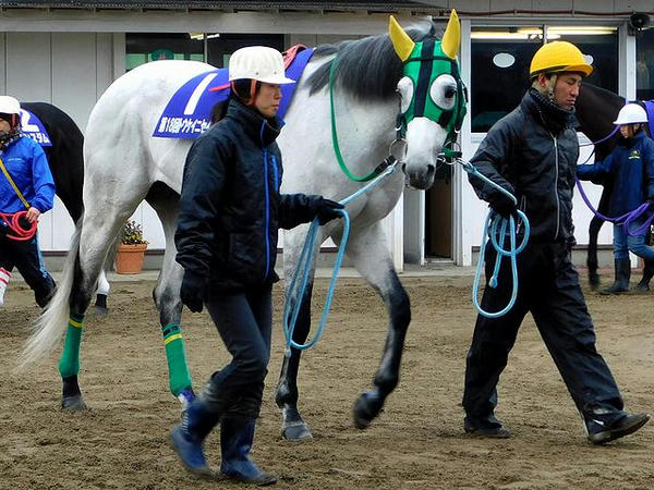2番人気の(1)ワットロンクン号