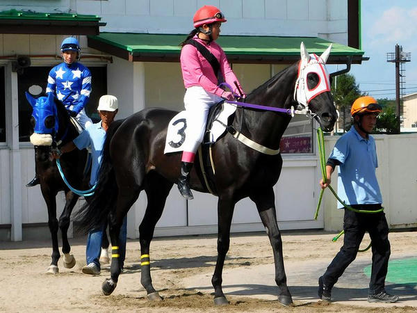 平成29年9月9日 水沢競馬場第6レースのパドックにて