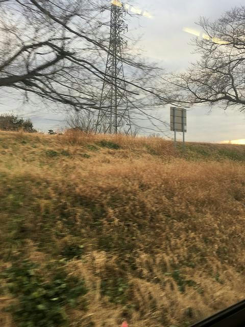 ひろせ野鳥の森駅を発車後、車窓には荒川（の土手）が