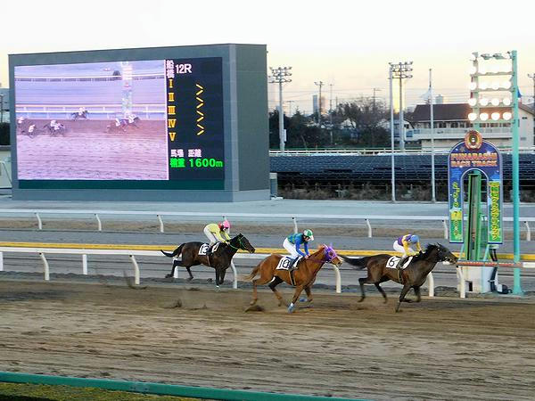 最終レースのゴール