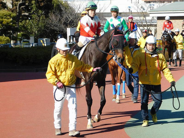 山本聡也騎手（第7レースのパドックにて）