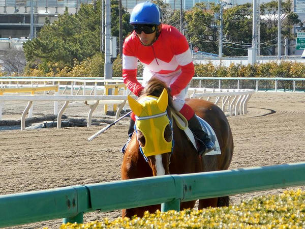 第5レースの馬場入り