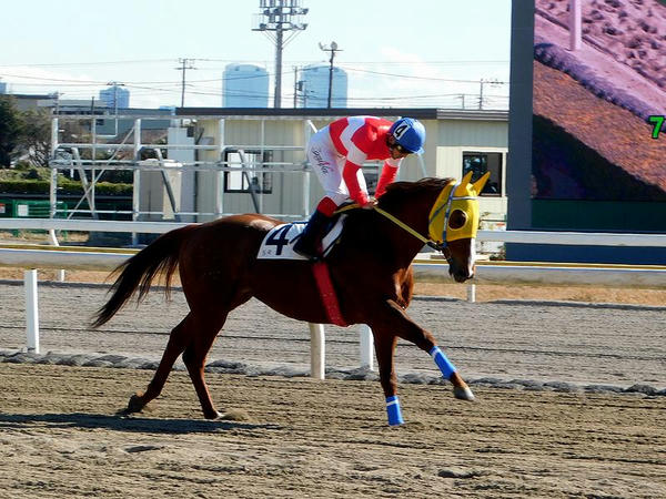 第5レースの返し馬