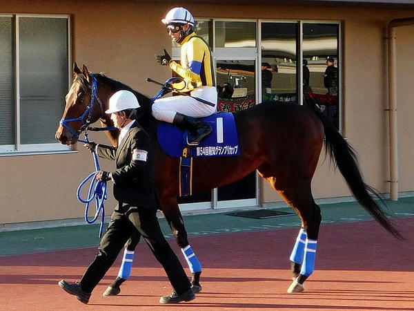 2番人気の(1)ロワジャルダン号と真島大輔騎手