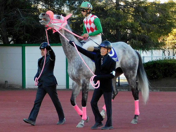 3番人気の(10)リッカルド号と矢野貴之騎手