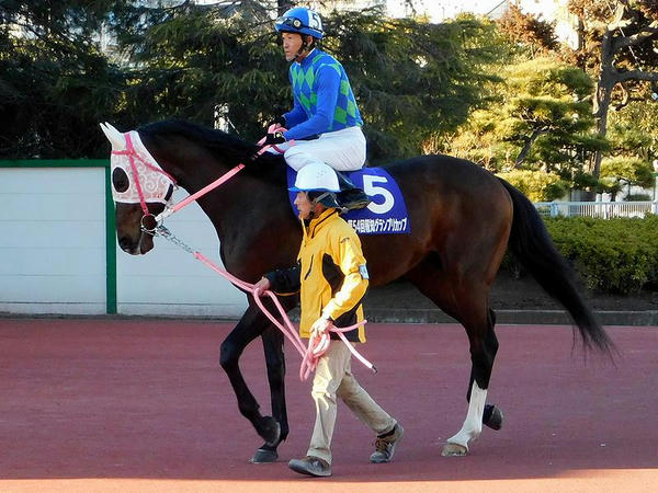 4番人気の(5)エンパイアペガサス号と森泰斗騎手