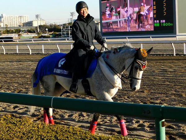 報知グランプリカップ仕様の誘導馬