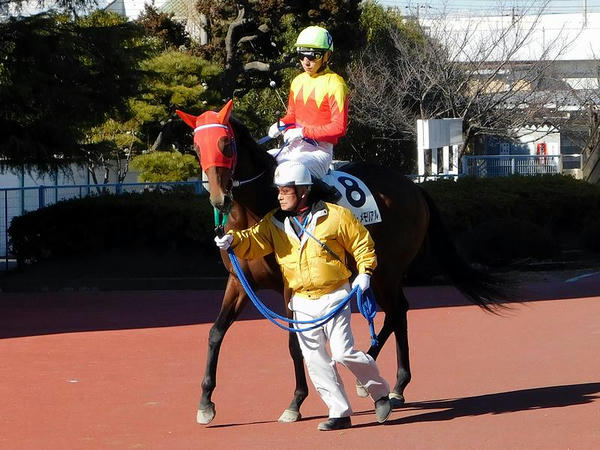 第7レースパドックでの中野省吾騎手