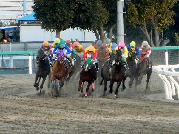 最終レース最終コーナー