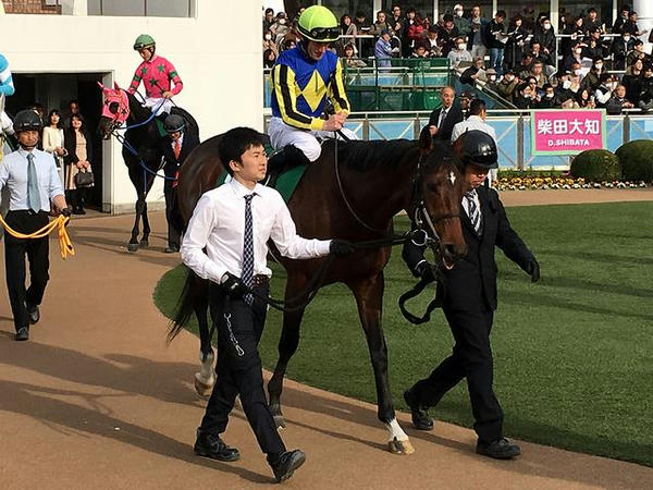 1番人気の(10)ダイメイフジ号とミルコ・デムーロ騎手