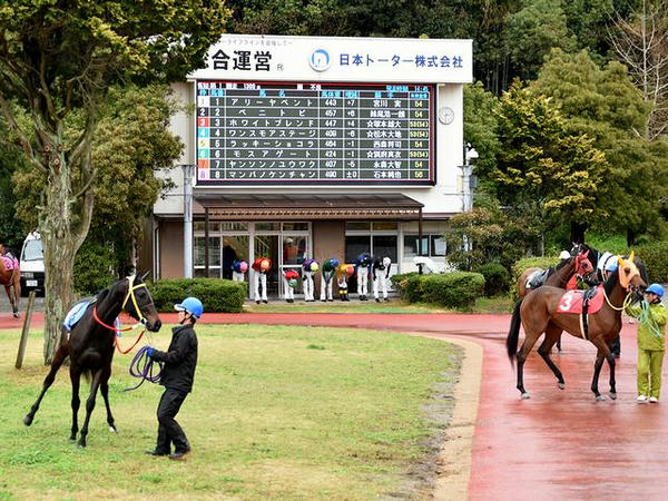 第1レースのパドック（騎乗前の一礼）