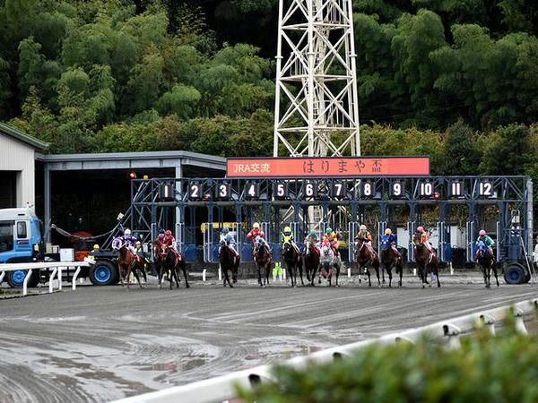 第4レースのスタート