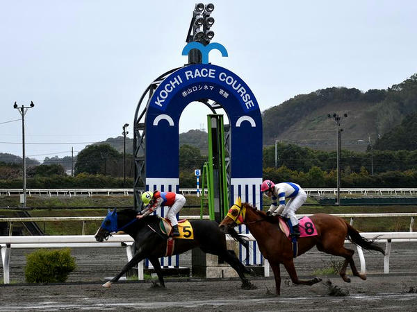 第1レースの最終コーナーと桜の花