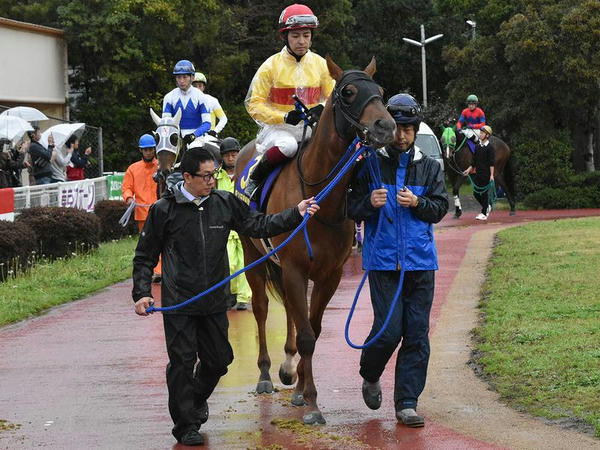 5番人気の(3)コパノマイケル号（JRA）と福永祐一騎手（JRA）