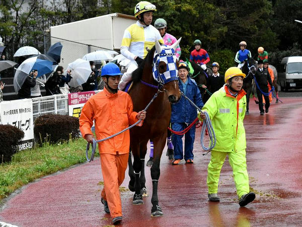 2番人気の(5)ブルドッグボス号（浦和）と岩田康誠騎手（JRA）
