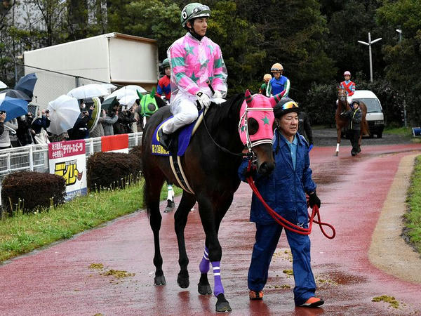 6番人気の(6)ラインシュナイダー号（JRA）と幸英明騎手（JRA）