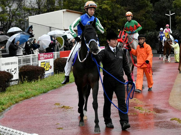 1番人気の(8)キングズガード号（JRA）と藤岡佑介騎手（JRA）