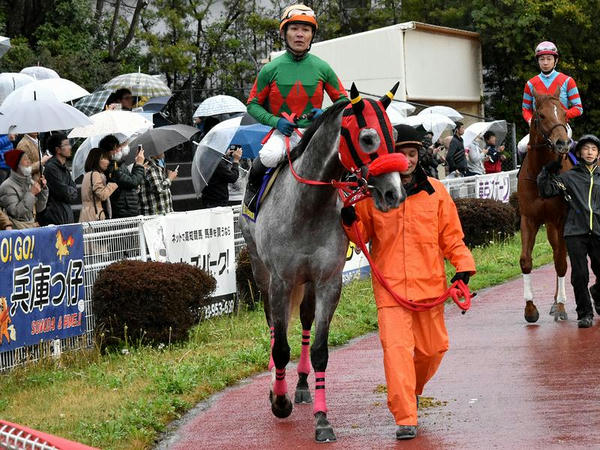 4番人気の(9)エイシンスパルタン号（兵庫）と田中学騎手（兵庫）