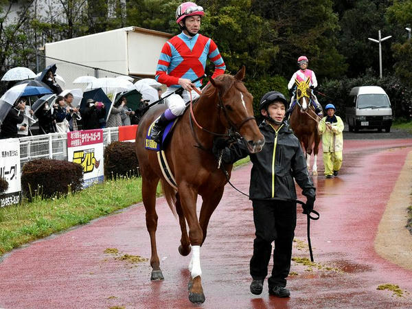 3番人気の(10)グレイスフルリープ号（JRA）と武豊騎手（JRA）