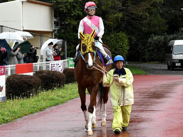 7番人気の(11)ワイルドコットン号（高知）と西川敏弘騎手（高知）
