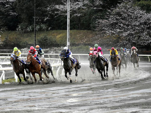 最終コーナー出口！