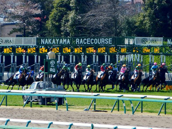馬場内広場から撮った第4レースのスタート