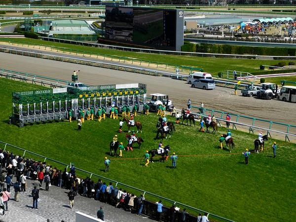屋外観覧席から撮った第5レース（芝1800m）のスタート前