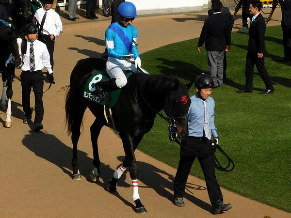 2番人気(8)センチュリオン号（牡6歳）と幸英明騎手（57.0kg）