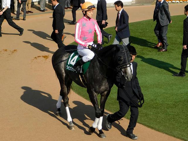 5番人気(14)クインズサターン号（牡5歳）と津村明秀騎手（55.0kg）