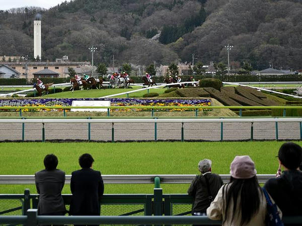バンケットを通過する競走馬（第4レース）