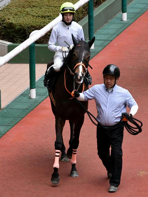 15番人気の(9)コパノディール号と藤田菜七子騎手