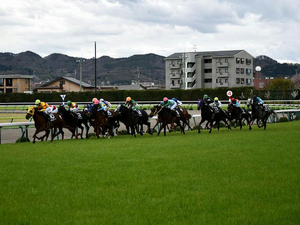最終コーナーから最後の直線へと向かう各馬