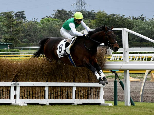 第1レースの障害未勝利戦で勝利したクロフネフリート号と浜野谷憲尚騎手