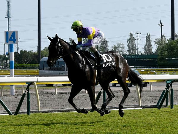 返し馬に入る(10)ダイメイプリンセス号と秋山真一郎騎手