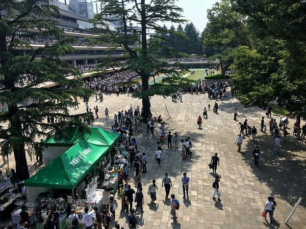 入場時のパドック周辺の混雑具合