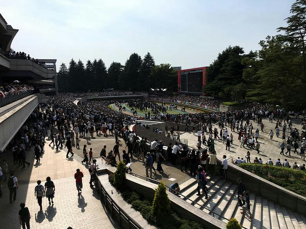 日本ダービーのパドック