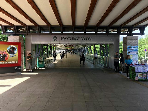 東京競馬場入口