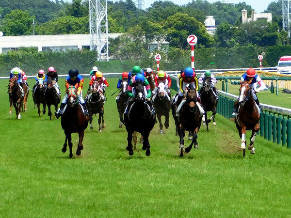 勝ったのは石川裕紀人騎手鞍上の(4)レノーア号（外目の黒い帽子）