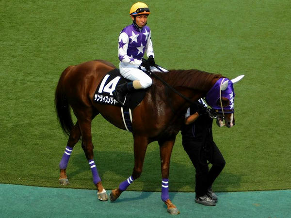 7番人気(14)サンライズメジャー号と大野拓弥騎手