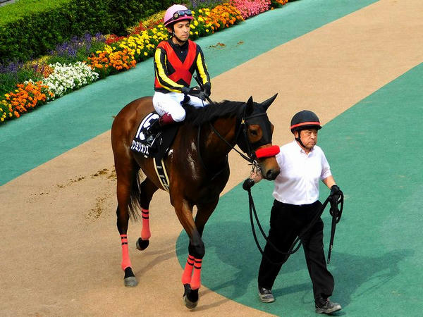 5番人気(15)ワンミリオンス号と福永祐一騎手