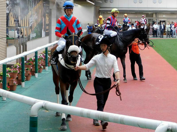 3番人気の(8)エリシェバ号と5番人気の(9)レジーナフォルテ号