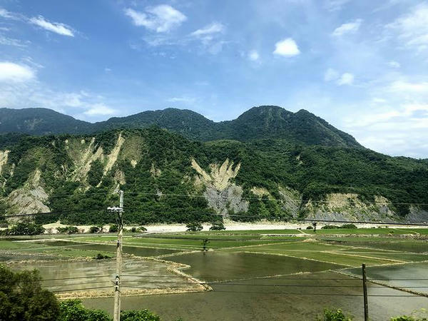 車窓から見た田植え直後の水田