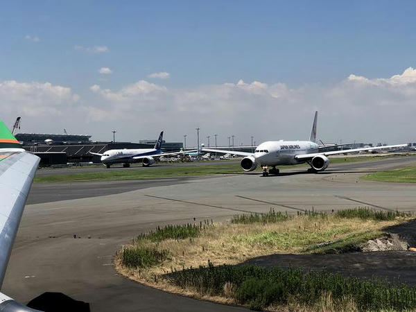 移動する日航機と全日空機