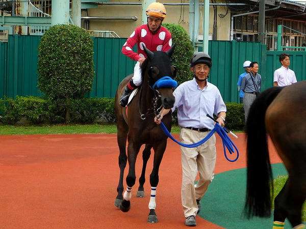 的場文男騎手とダイヤインザラフ号