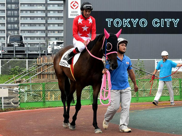 的場騎手とシルヴェーヌ号